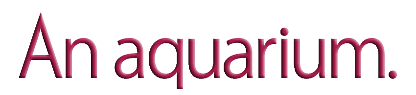 アクアリウムをはじめる